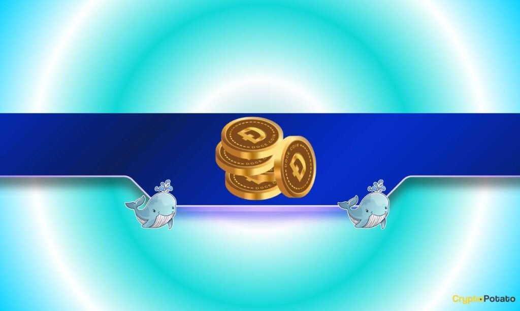 DOGE Rally Brewing? Whales Load Up as Dogecoin ETFs Post Record Inflows DOGE Rally Brewing? Whales Load Up as Dogecoin ETFs Post Record Inflows